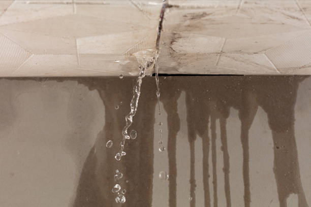 Professional Structural Drying technician working in Ideal, GA